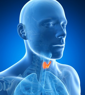 male thyroid gland
