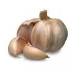 garlic_bulb